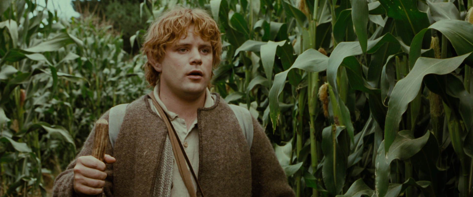 The Lord of the Rings: The Fellowship of the Ring (2001) movie still 5944