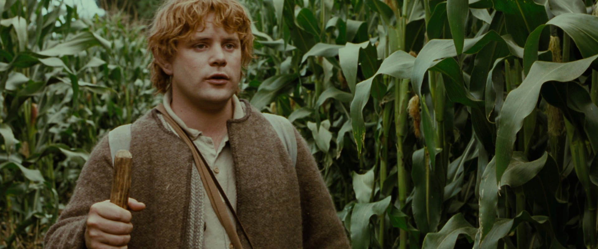 The Lord of the Rings: The Fellowship of the Ring (2001) HD screenshot 5945