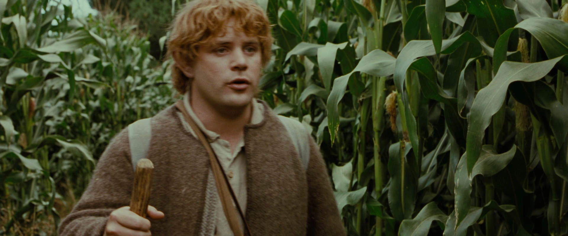 The Lord of the Rings: The Fellowship of the Ring (2001) screencap 5946