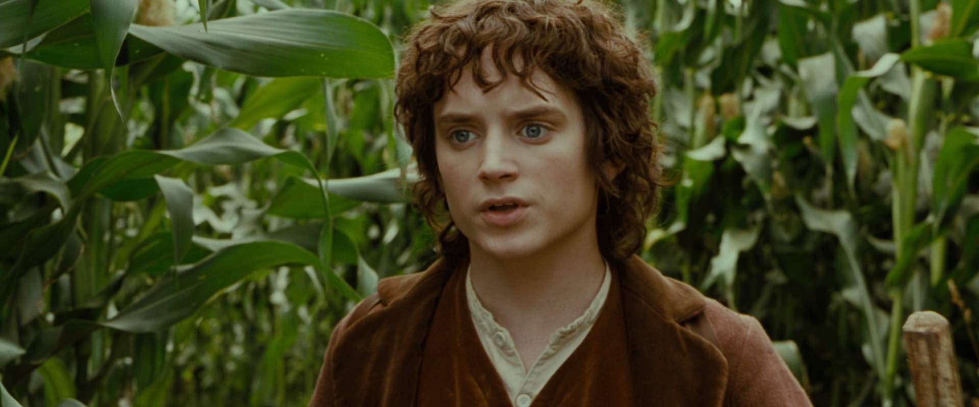 The Lord of the Rings: The Fellowship of the Ring (2001) movie still 5947