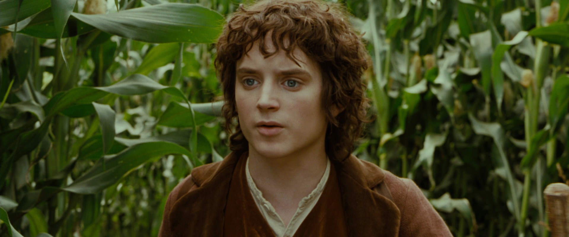 The Lord of the Rings: The Fellowship of the Ring (2001) HD screenshot 5948
