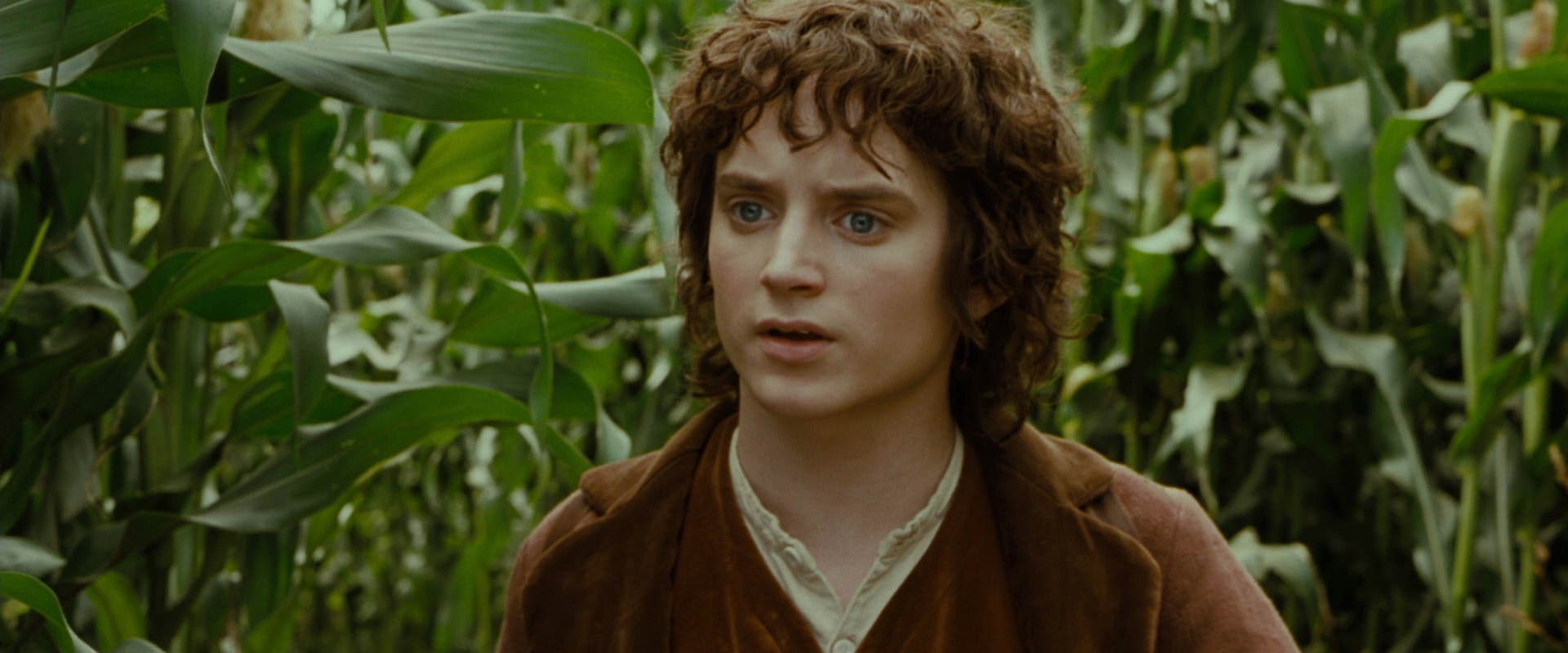 The Lord of the Rings: The Fellowship of the Ring (2001) screencap 5949