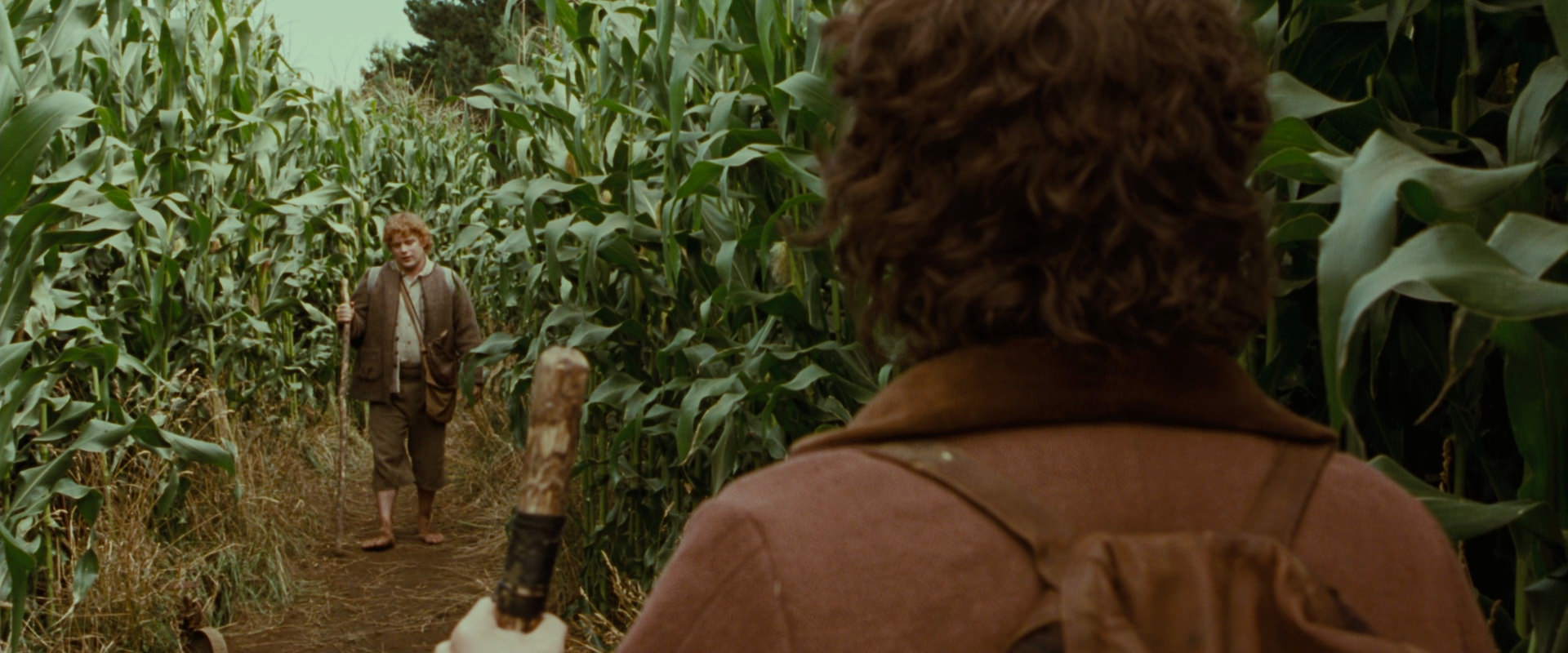 The Lord of the Rings: The Fellowship of the Ring (2001) movie still 5950