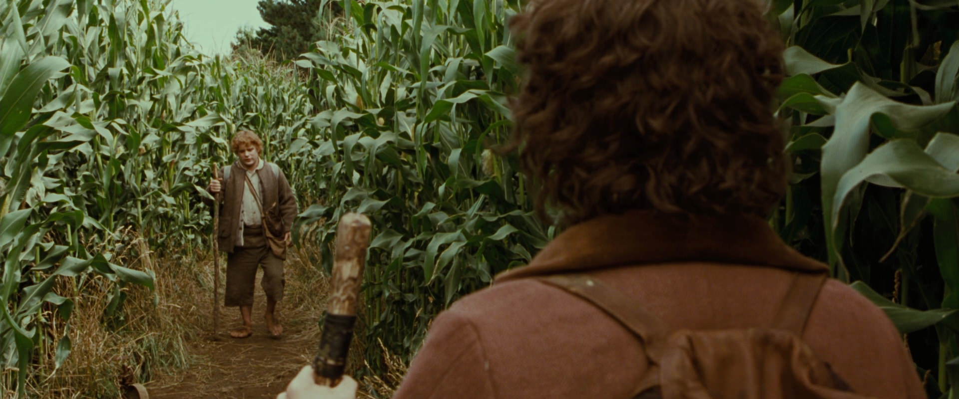 The Lord of the Rings: The Fellowship of the Ring (2001) HD screenshot 5951