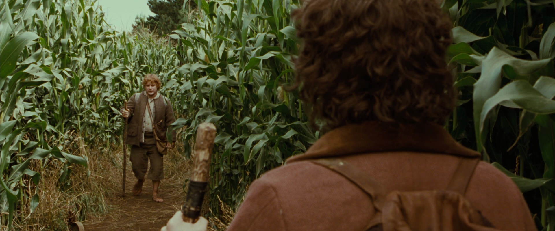 The Lord of the Rings: The Fellowship of the Ring (2001) screencap 5952