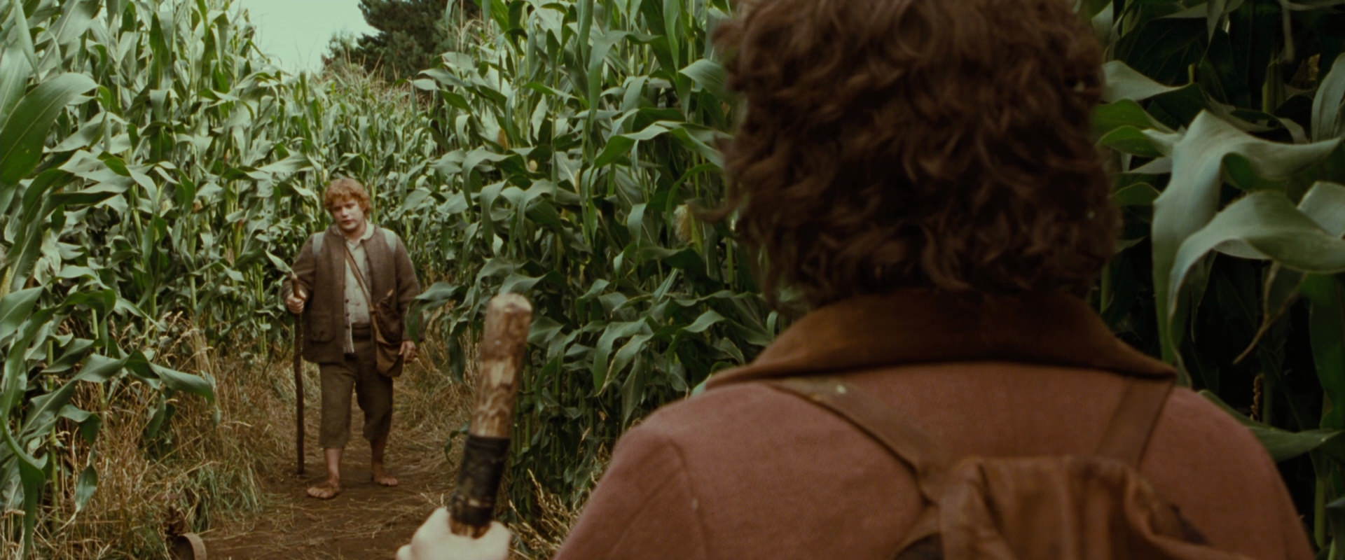 The Lord of the Rings: The Fellowship of the Ring (2001) movie still 5953