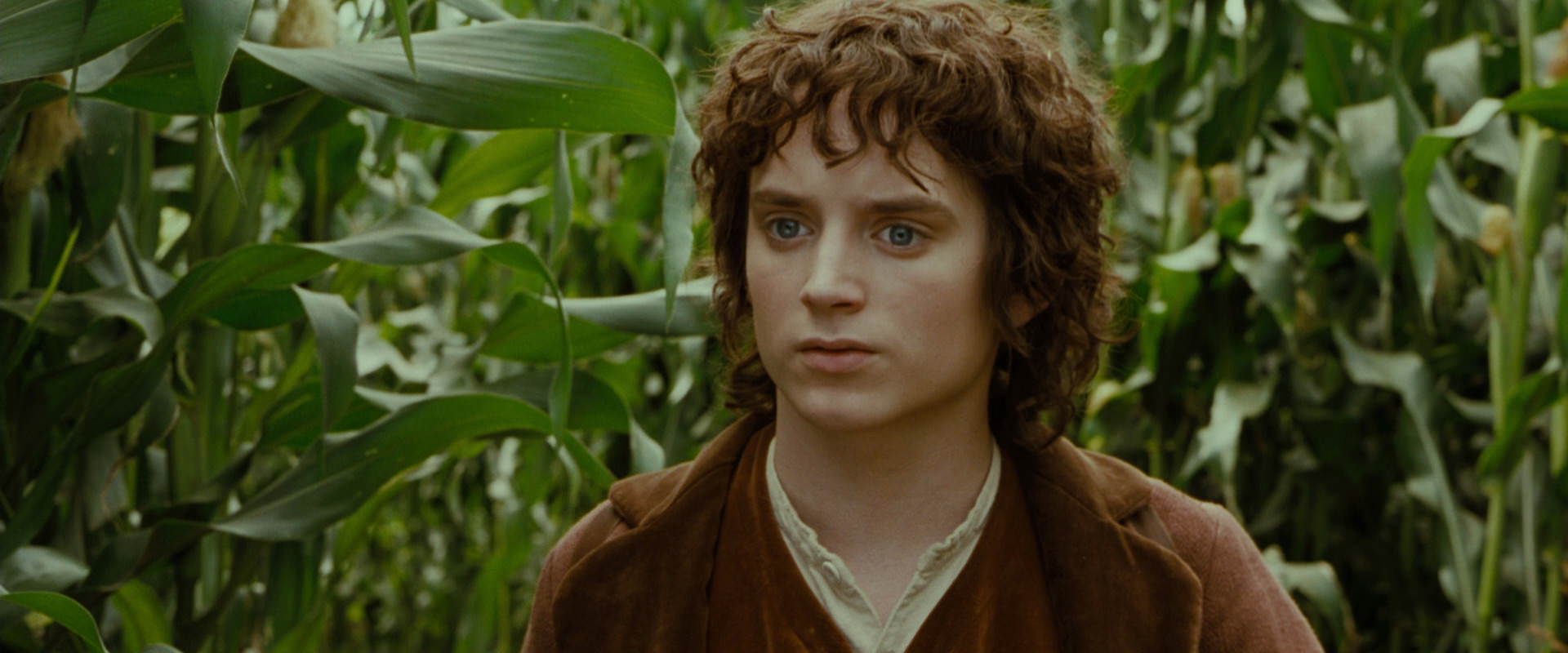 The Lord of the Rings: The Fellowship of the Ring (2001) HD screenshot 5954