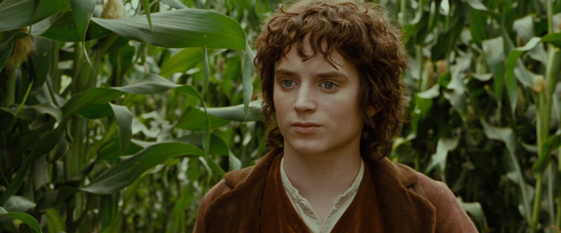 The Lord of the Rings: The Fellowship of the Ring (2001) screencap 5955