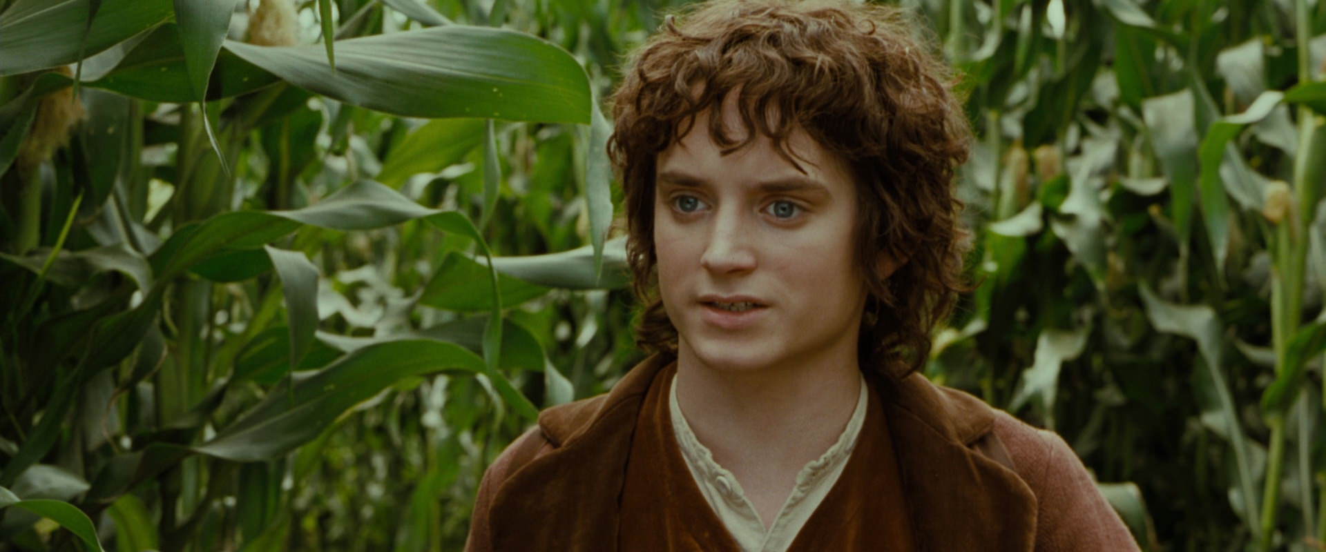 The Lord of the Rings: The Fellowship of the Ring (2001) movie still 5956