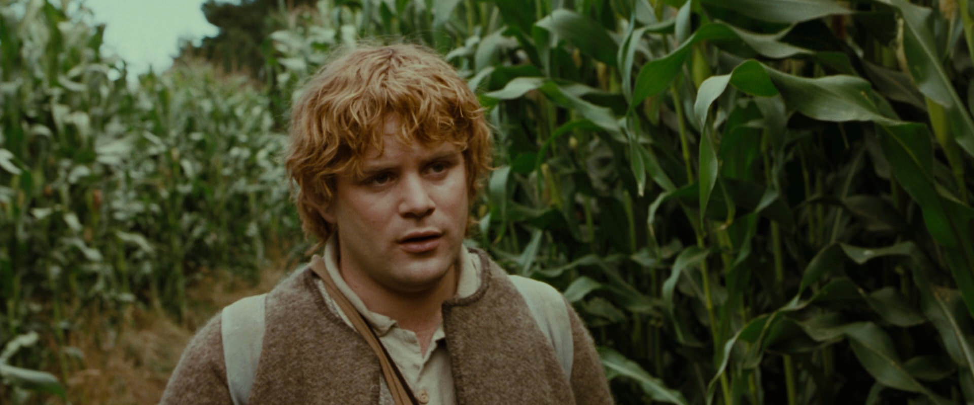 The Lord of the Rings: The Fellowship of the Ring (2001) HD screenshot 5957