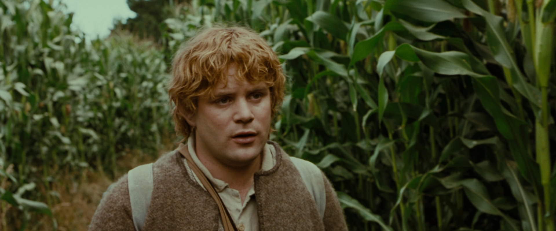 The Lord of the Rings: The Fellowship of the Ring (2001) screencap 5958