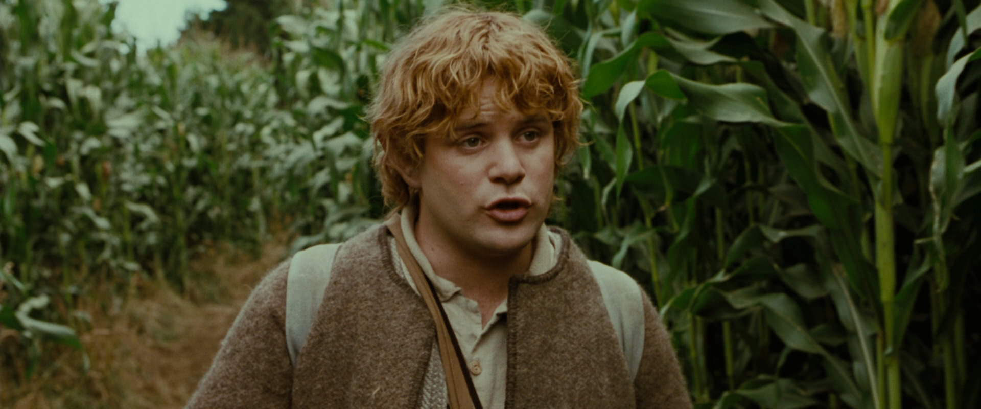 The Lord of the Rings: The Fellowship of the Ring (2001) movie still 5959