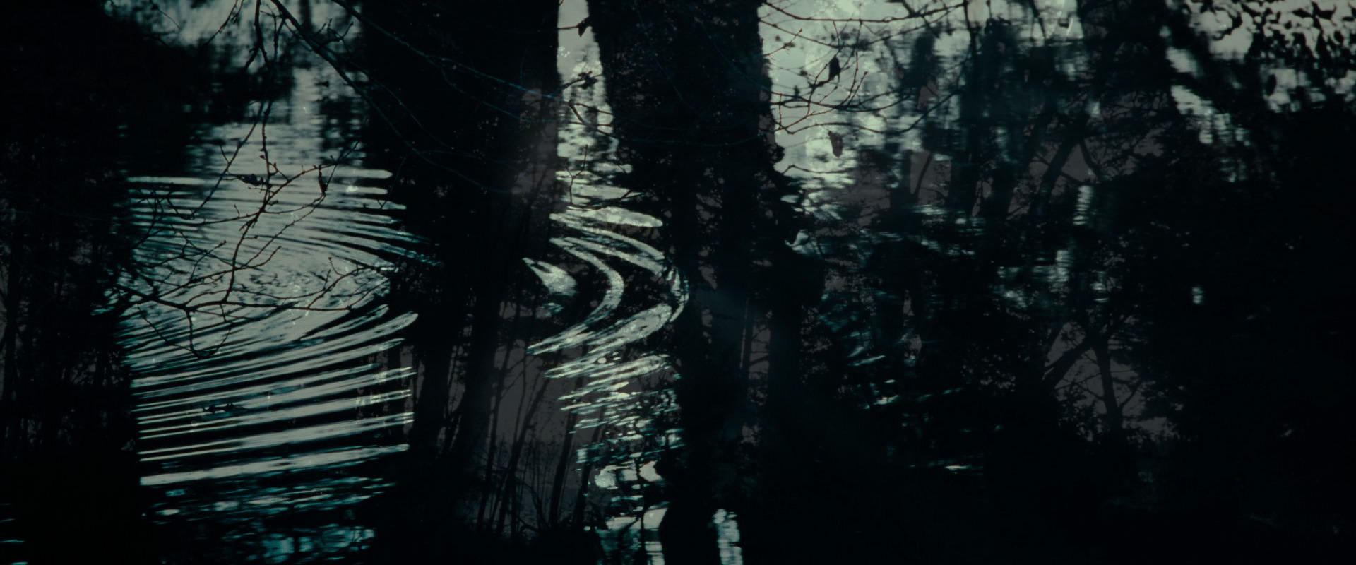 The Lord of the Rings: The Fellowship of the Ring (2001) HD screenshot 596