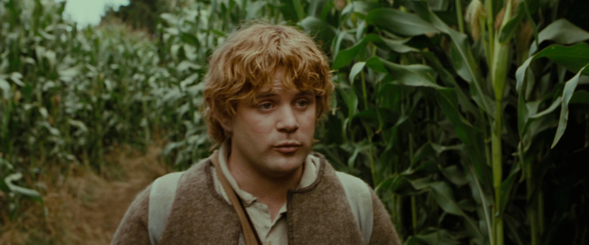 The Lord of the Rings: The Fellowship of the Ring (2001) HD screenshot 5960