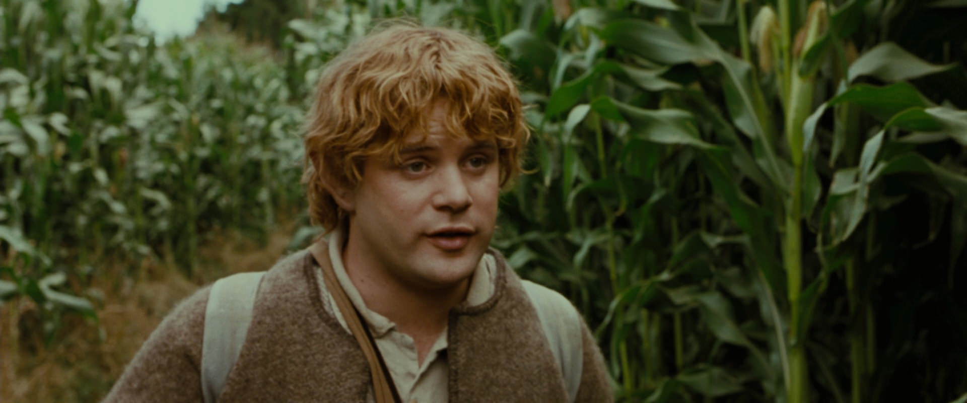 The Lord of the Rings: The Fellowship of the Ring (2001) screencap 5961