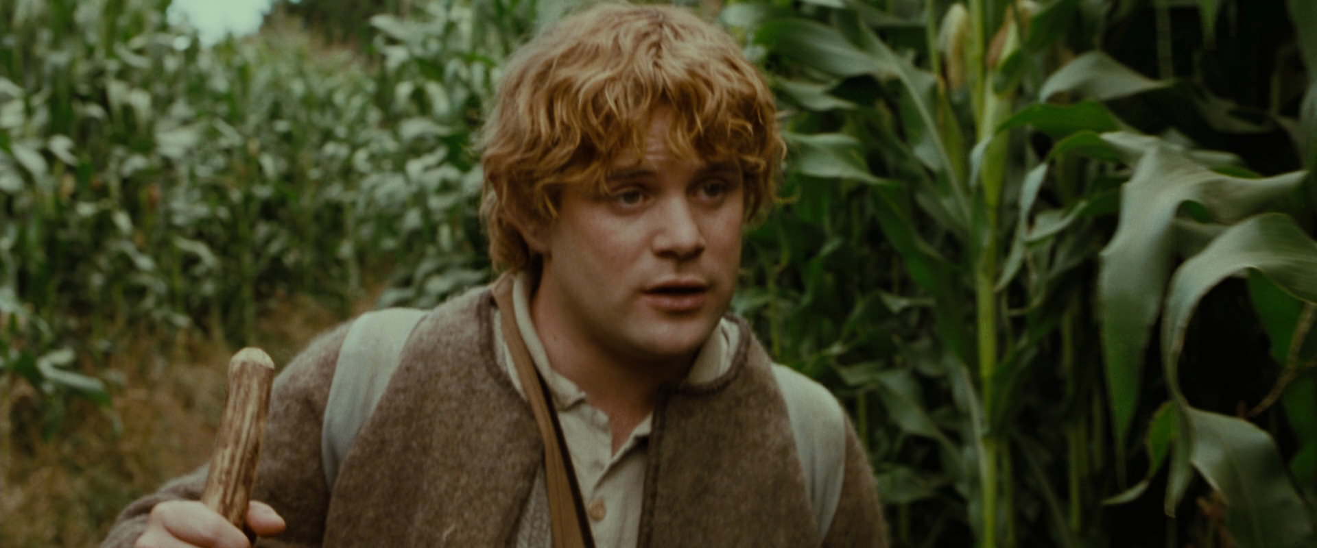 The Lord of the Rings: The Fellowship of the Ring (2001) movie still 5962