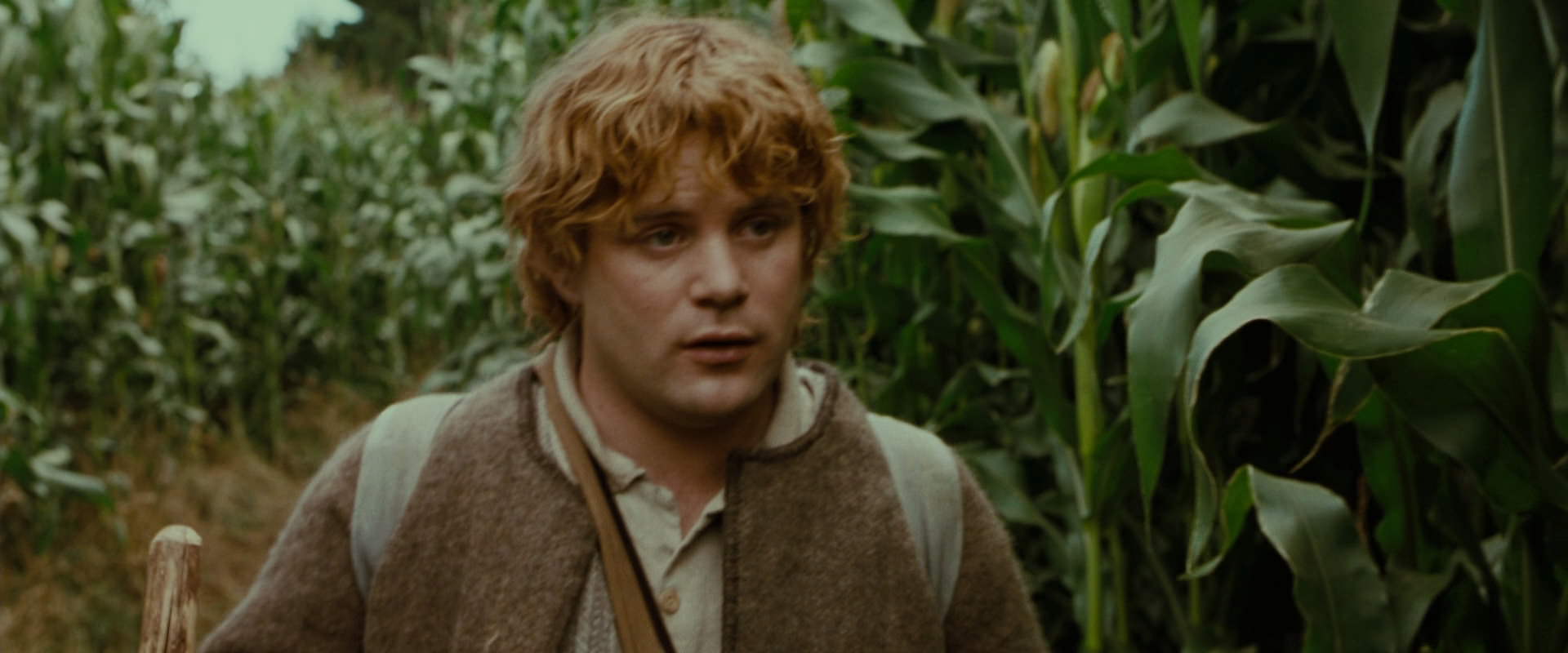 The Lord of the Rings: The Fellowship of the Ring (2001) HD screenshot 5963