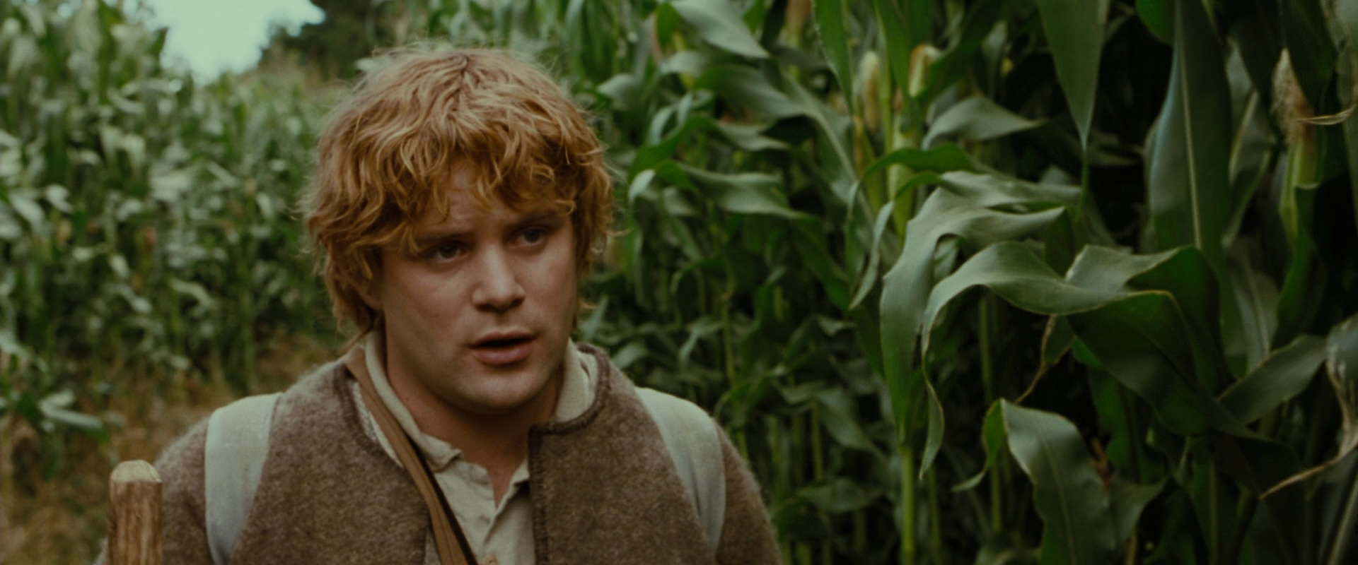 The Lord of the Rings: The Fellowship of the Ring (2001) screencap 5964