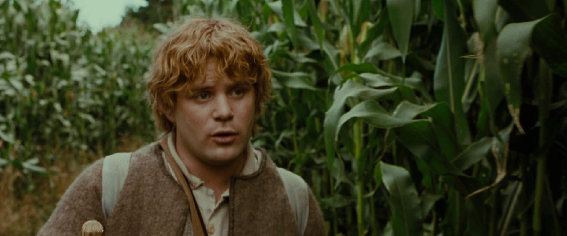 The Lord of the Rings: The Fellowship of the Ring (2001) movie still 5965