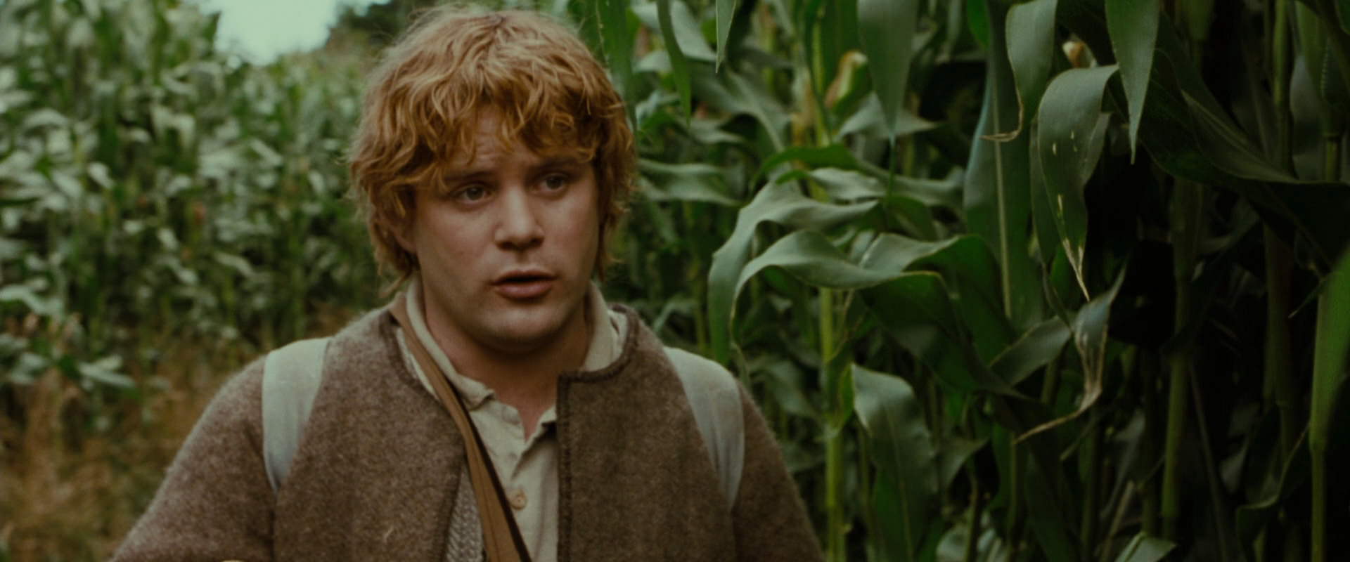 The Lord of the Rings: The Fellowship of the Ring (2001) HD screenshot 5966