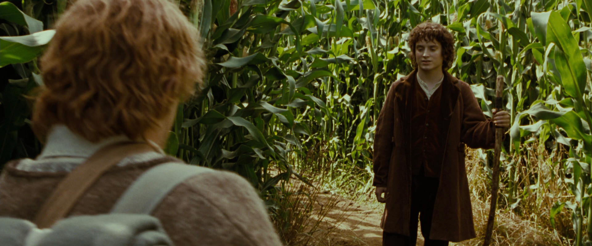 The Lord of the Rings: The Fellowship of the Ring (2001) screencap 5967