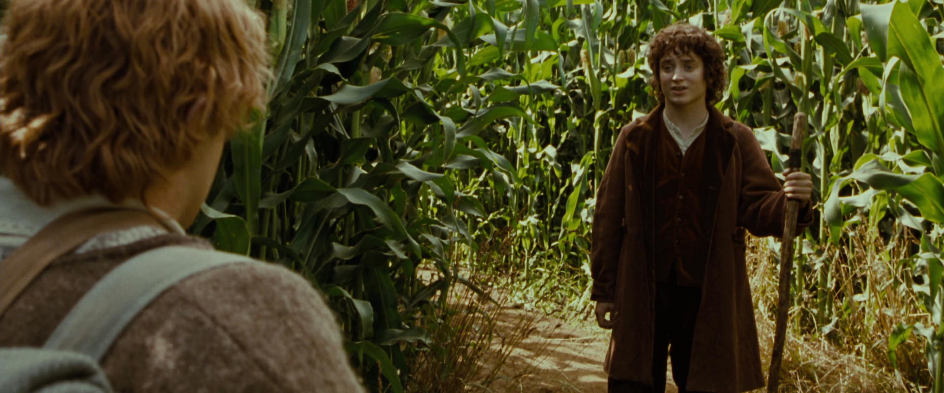 The Lord of the Rings: The Fellowship of the Ring (2001) movie still 5968
