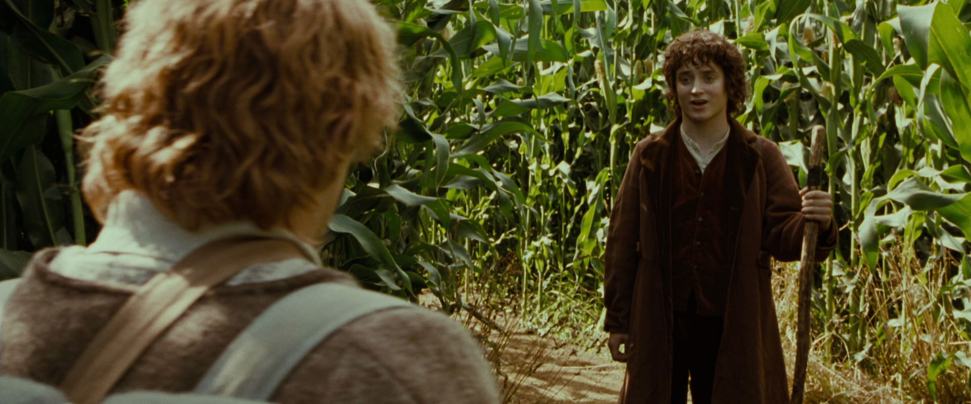 The Lord of the Rings: The Fellowship of the Ring (2001) HD screenshot 5969
