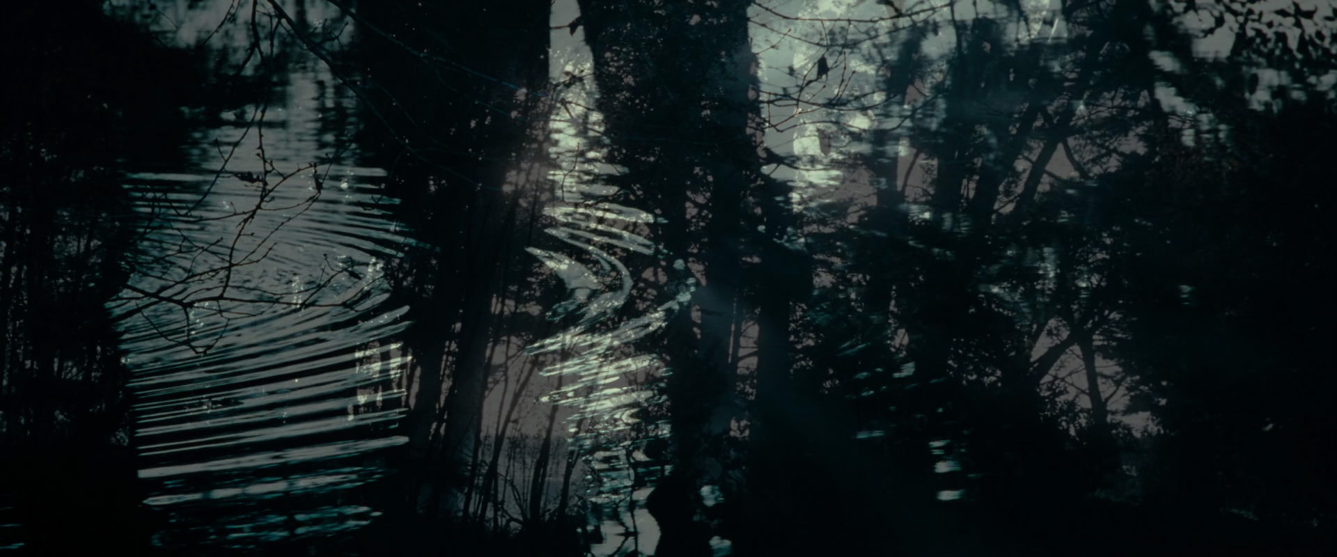 The Lord of the Rings: The Fellowship of the Ring (2001) screencap 597