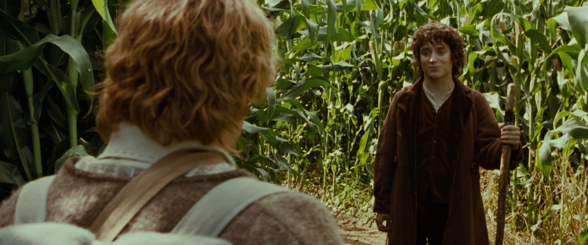 The Lord of the Rings: The Fellowship of the Ring (2001) screencap 5970