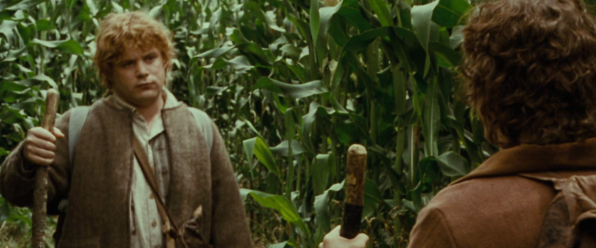 The Lord of the Rings: The Fellowship of the Ring (2001) movie still 5971