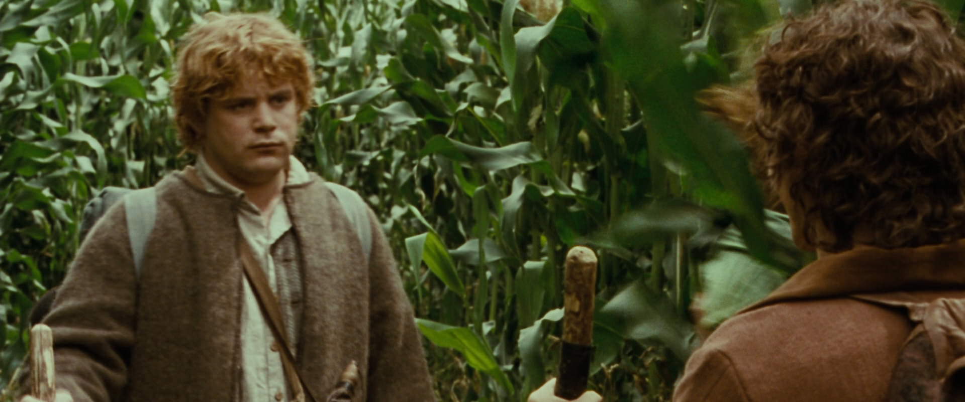The Lord of the Rings: The Fellowship of the Ring (2001) HD screenshot 5972