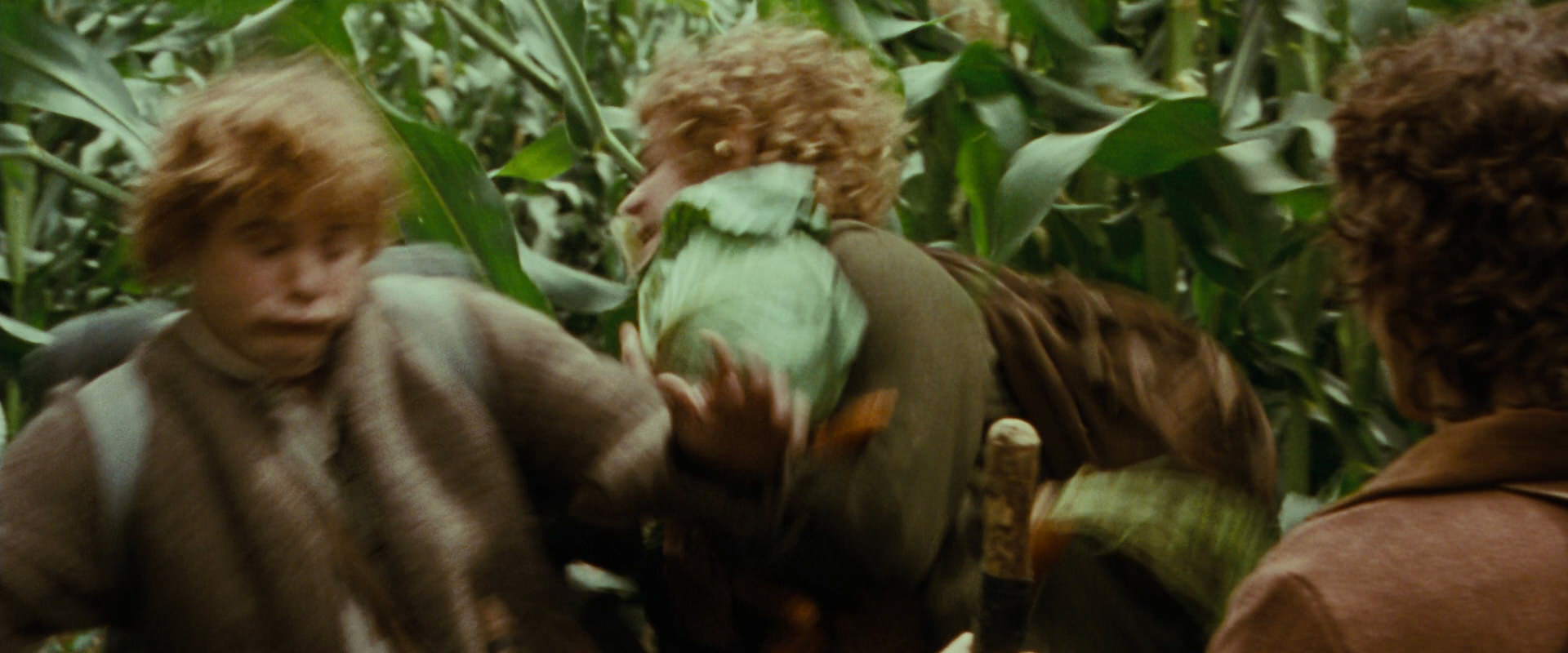 The Lord of the Rings: The Fellowship of the Ring (2001) screencap 5973