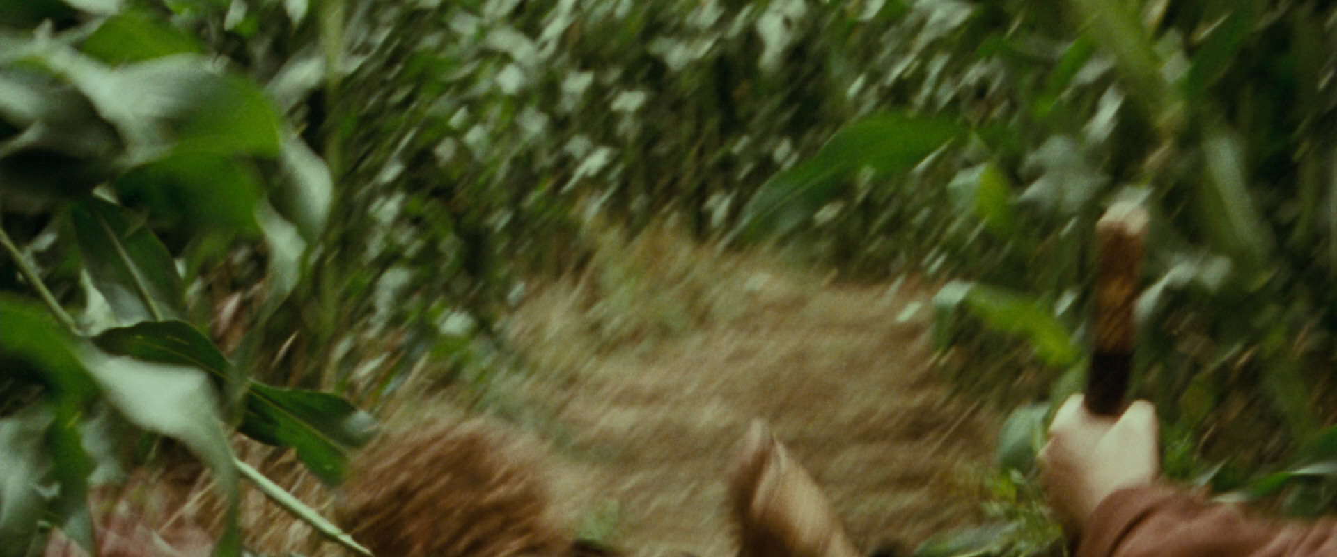The Lord of the Rings: The Fellowship of the Ring (2001) movie still 5974