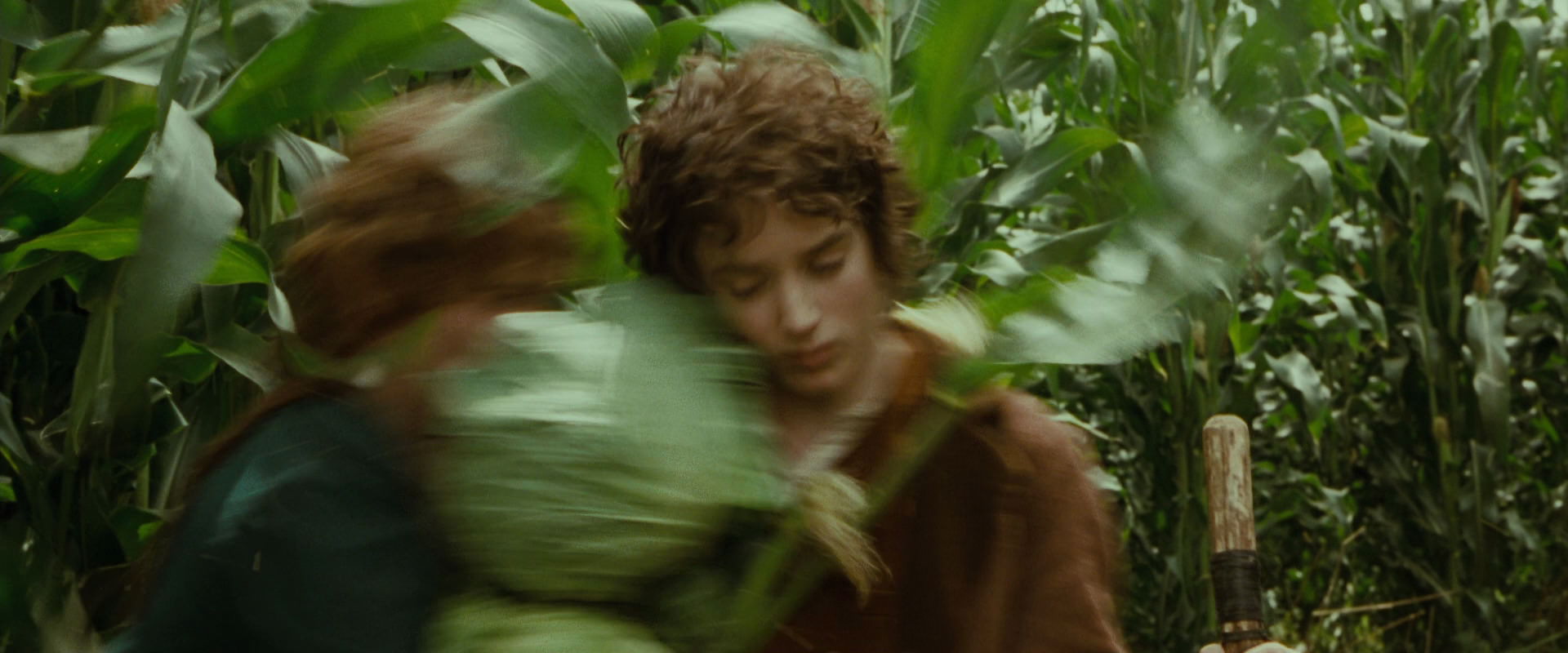 The Lord of the Rings: The Fellowship of the Ring (2001) HD screenshot 5975