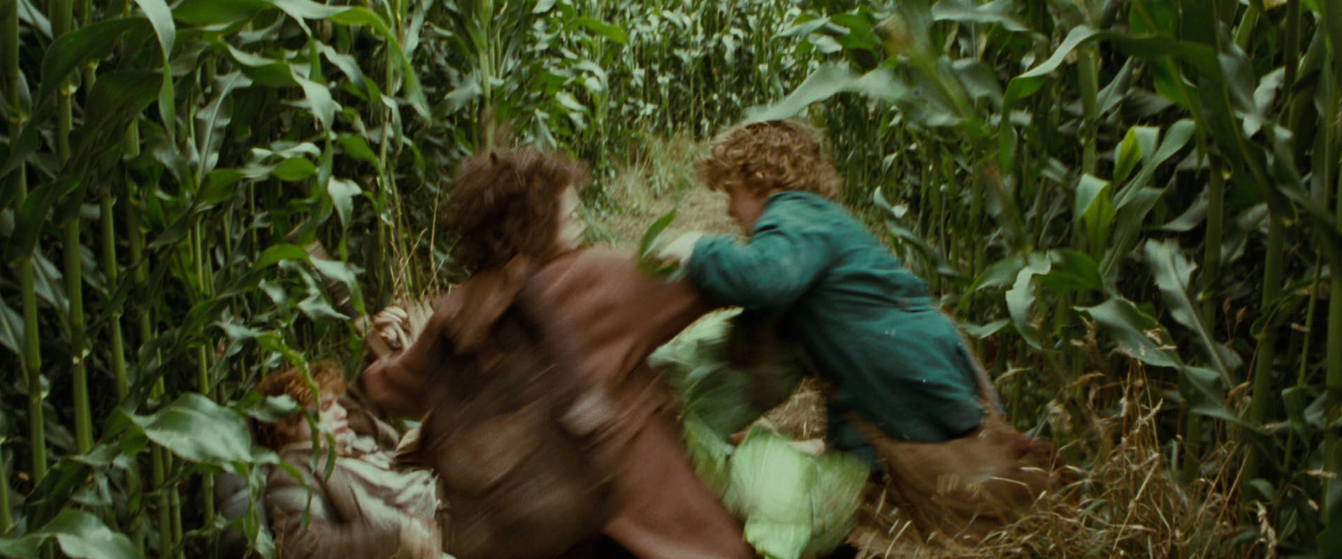 The Lord of the Rings: The Fellowship of the Ring (2001) screencap 5976