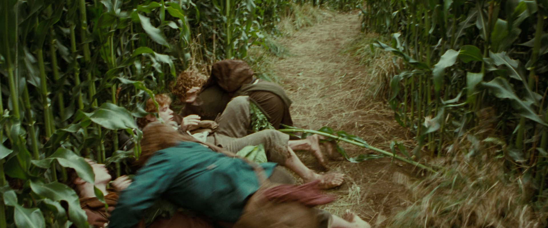 The Lord of the Rings: The Fellowship of the Ring (2001) movie still 5977