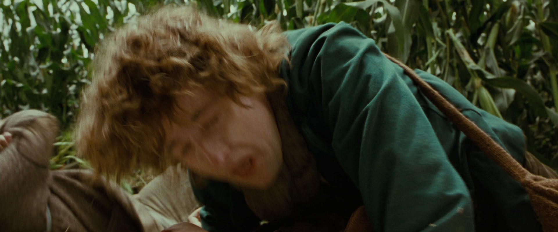 The Lord of the Rings: The Fellowship of the Ring (2001) HD screenshot 5978