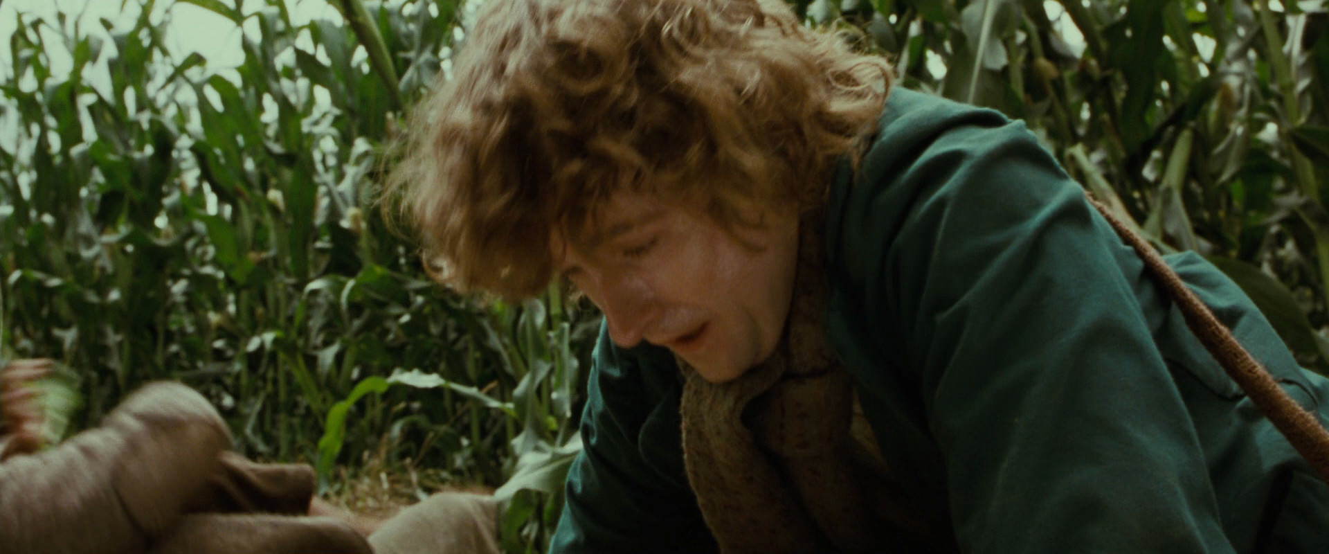 The Lord of the Rings: The Fellowship of the Ring (2001) screencap 5979