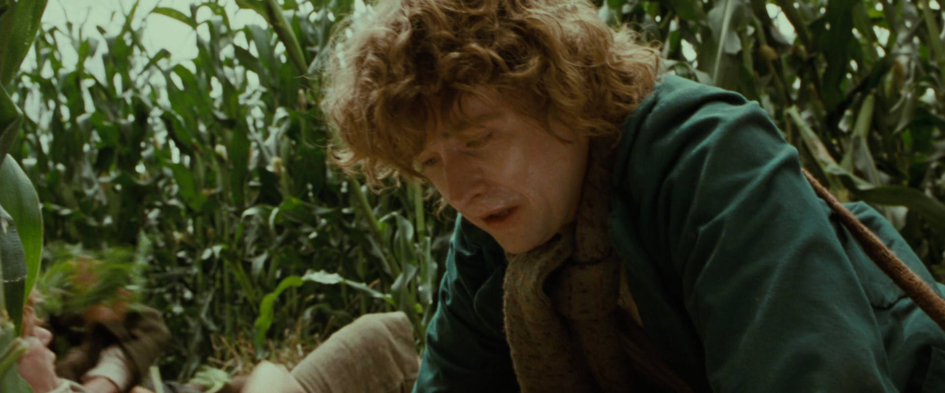 The Lord of the Rings: The Fellowship of the Ring (2001) movie still 5980