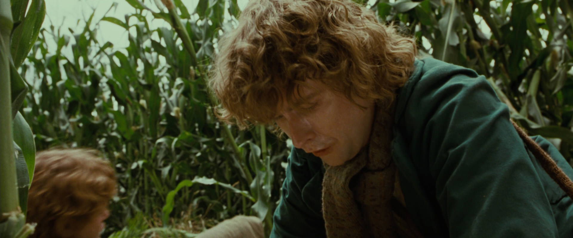 The Lord of the Rings: The Fellowship of the Ring (2001) HD screenshot 5981