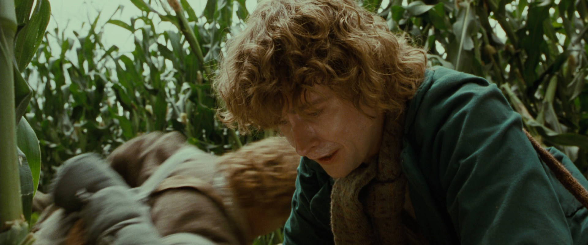 The Lord of the Rings: The Fellowship of the Ring (2001) screencap 5982