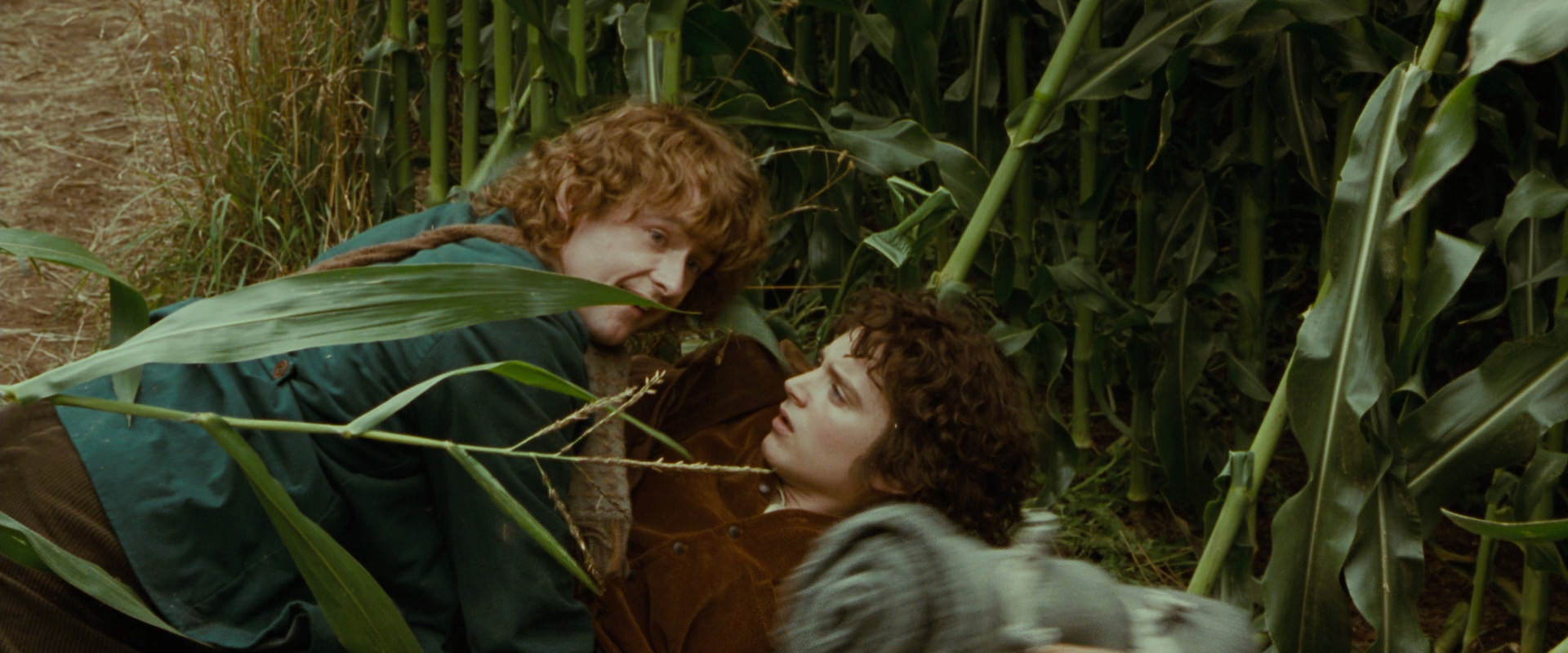 The Lord of the Rings: The Fellowship of the Ring (2001) movie still 5983