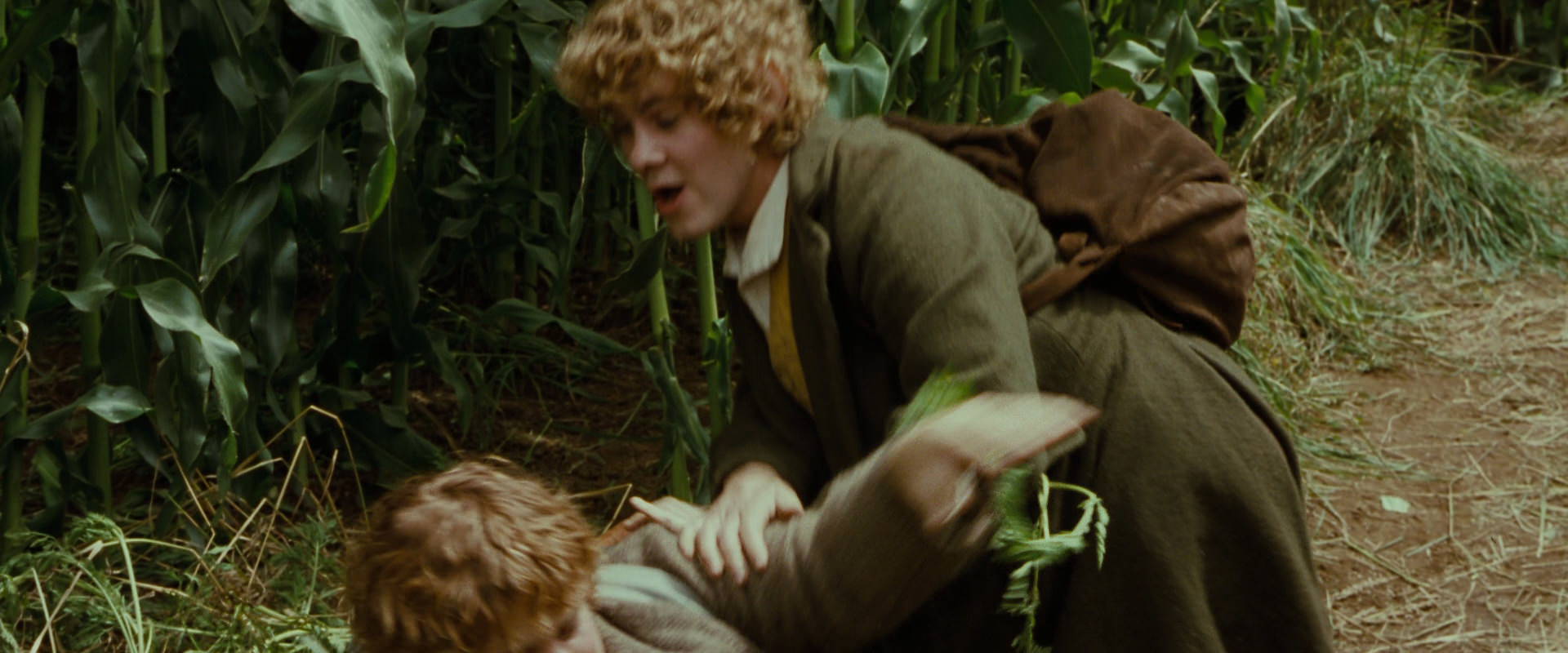 The Lord of the Rings: The Fellowship of the Ring (2001) HD screenshot 5984