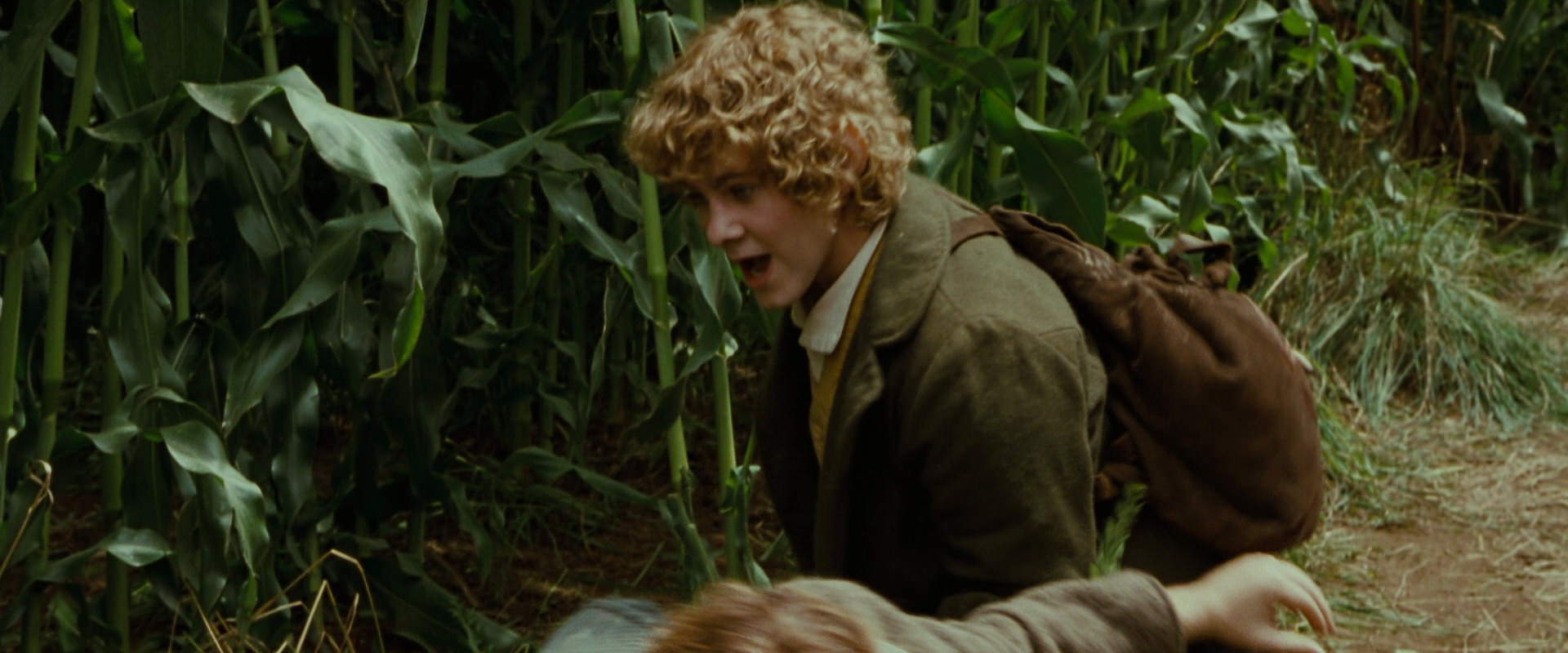 The Lord of the Rings: The Fellowship of the Ring (2001) screencap 5985