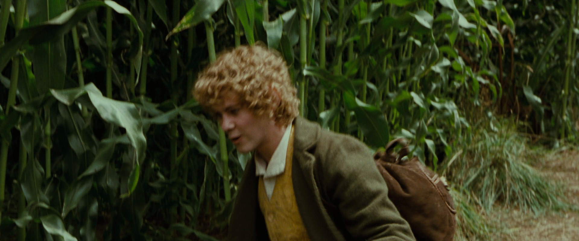 The Lord of the Rings: The Fellowship of the Ring (2001) movie still 5986