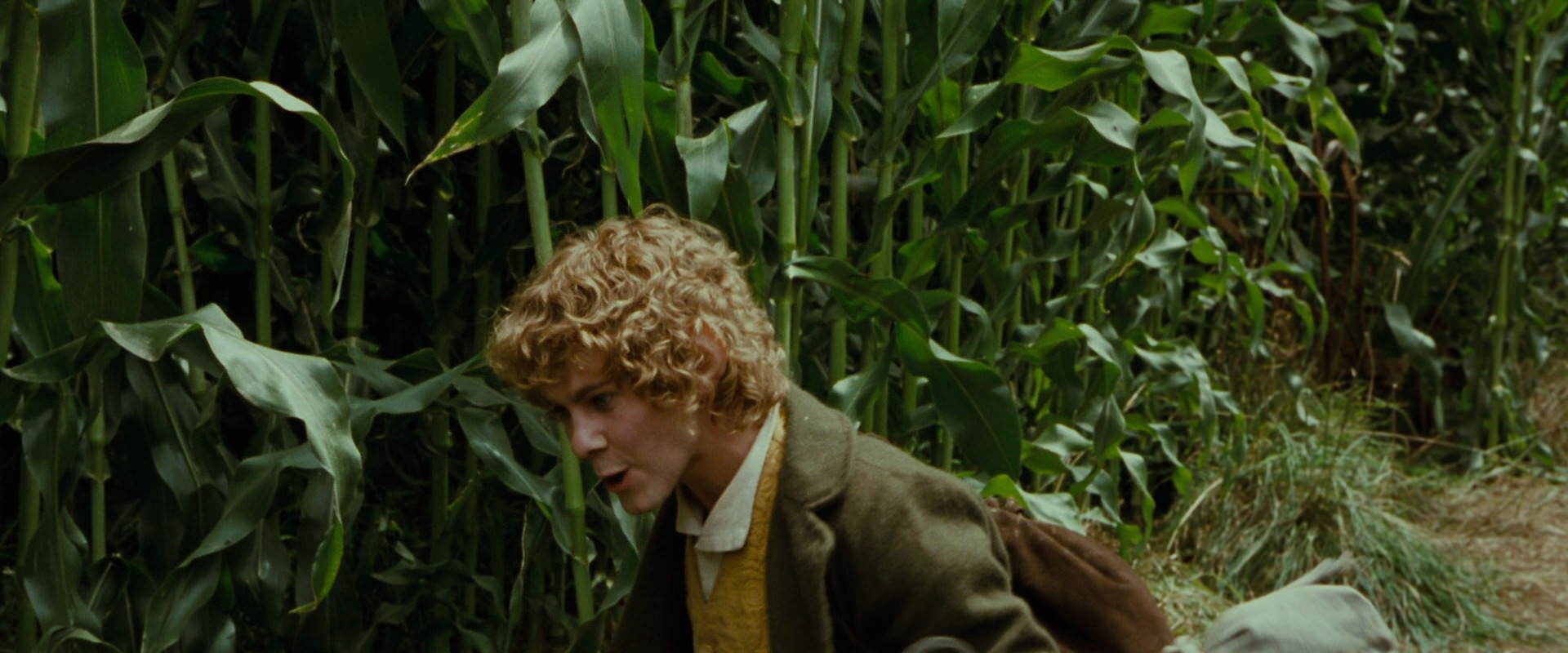 The Lord of the Rings: The Fellowship of the Ring (2001) HD screenshot 5987