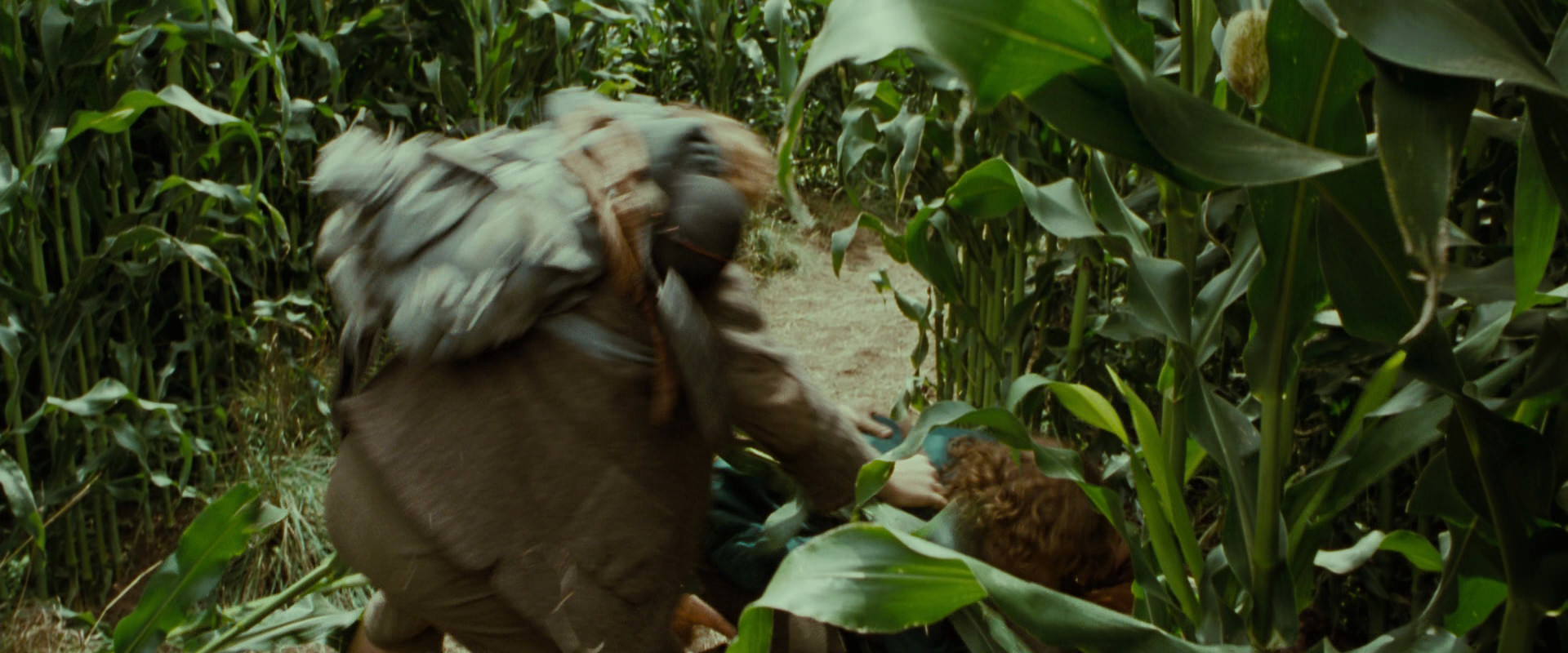 The Lord of the Rings: The Fellowship of the Ring (2001) screencap 5988