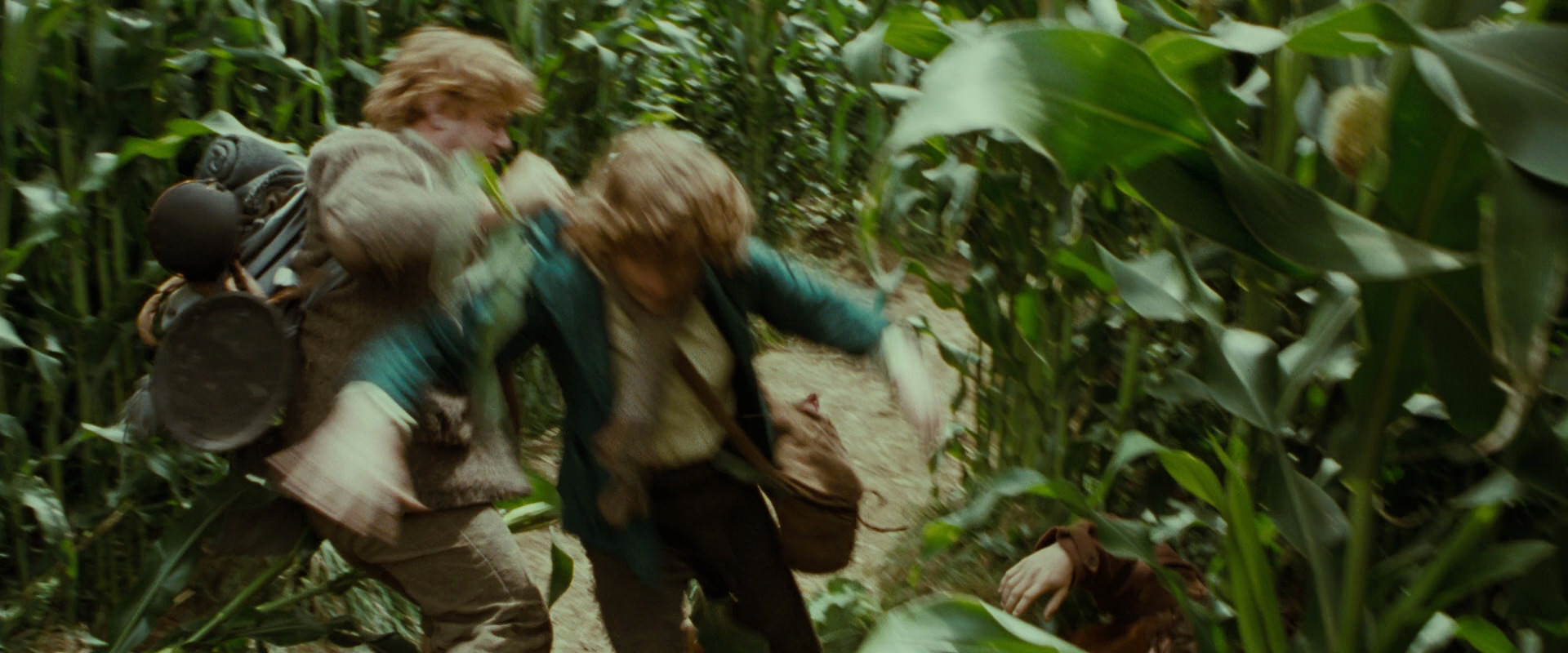The Lord of the Rings: The Fellowship of the Ring (2001) movie still 5989