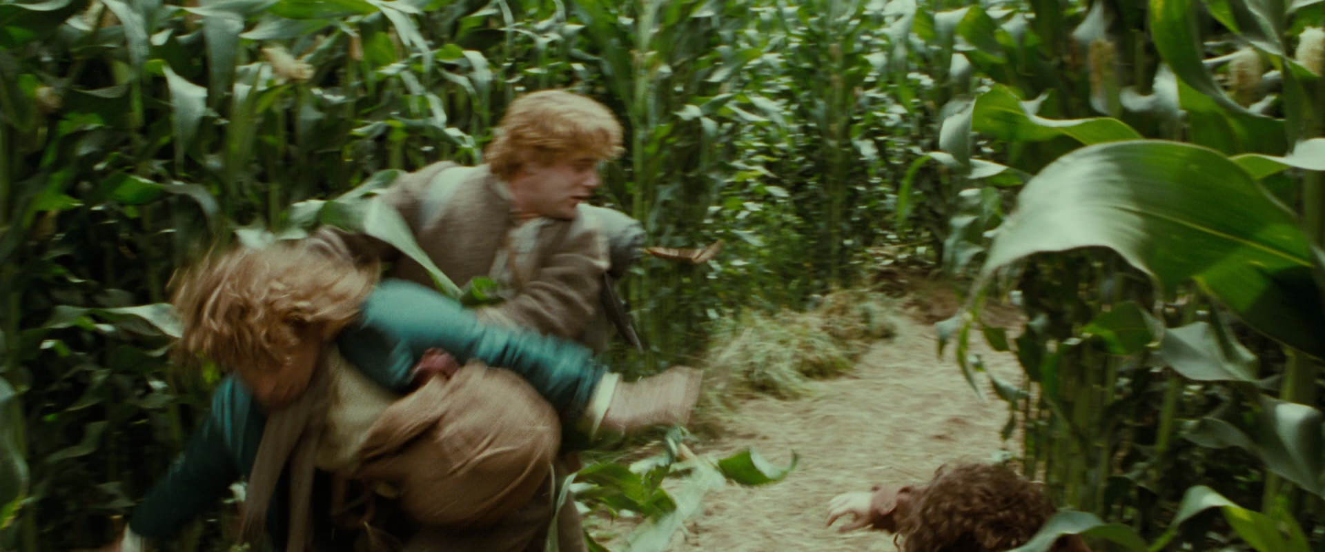 The Lord of the Rings: The Fellowship of the Ring (2001) HD screenshot 5990