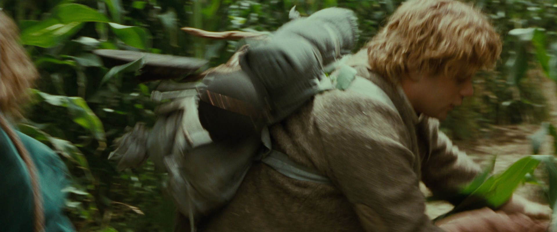 The Lord of the Rings: The Fellowship of the Ring (2001) screencap 5991
